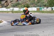 20110501_ales_agnus (3533)